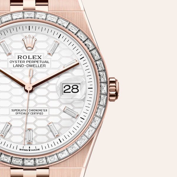 Rolex Land-Dweller 40, M127385TBR-0003 | Sergio Capone 4