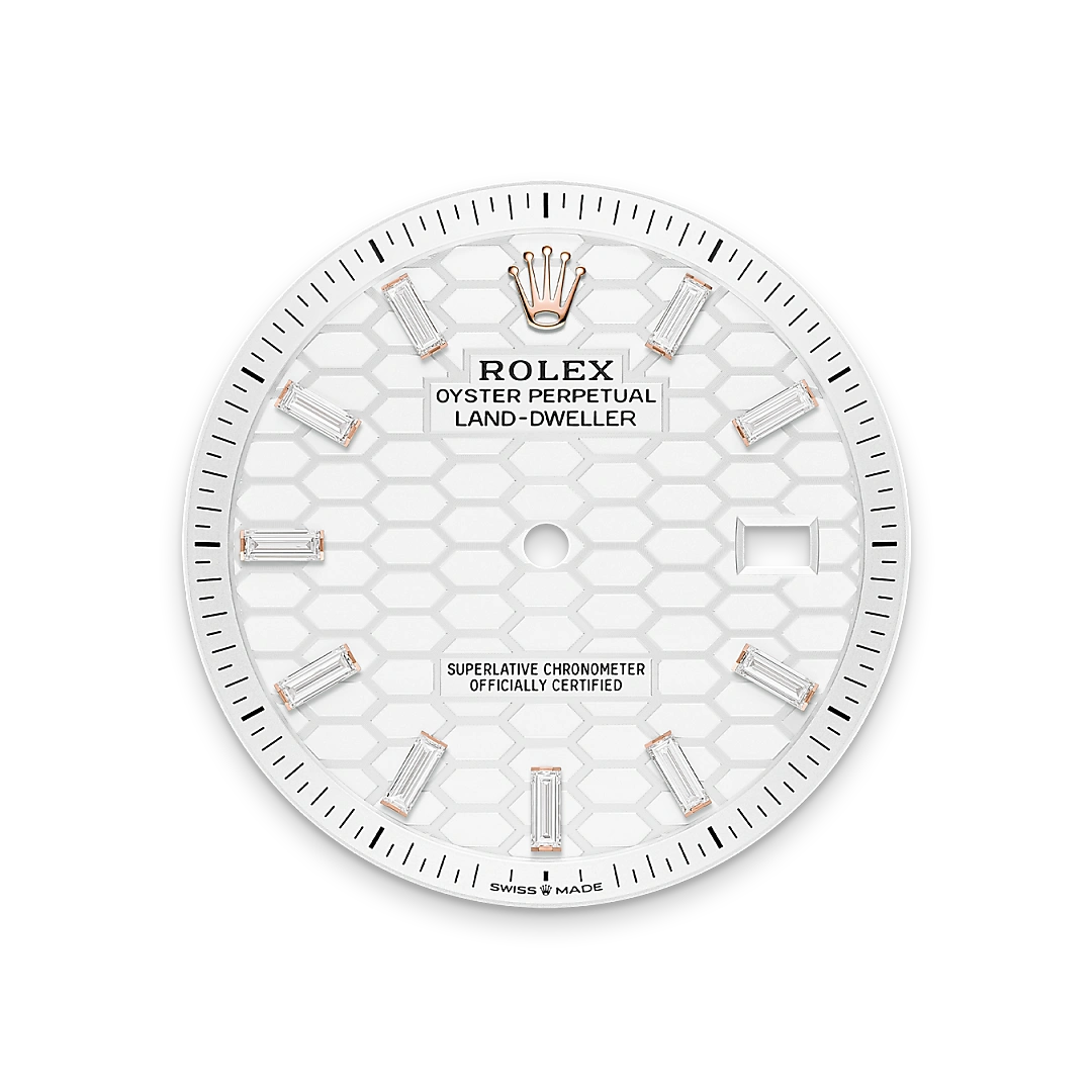 Rolex Land-Dweller 40, M127385TBR-0003 | Sergio Capone