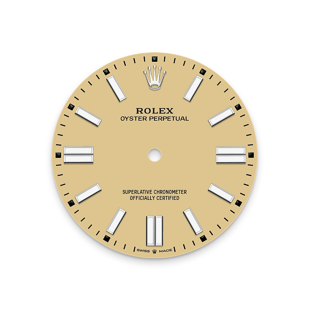 Rolex Oyster Perpetual 41, M134300-0007 | Sergio Capone