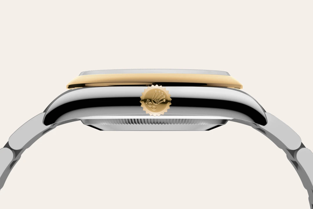 Rolex Oyster Perpetual 36, M126003-0001 | Sergio Capone