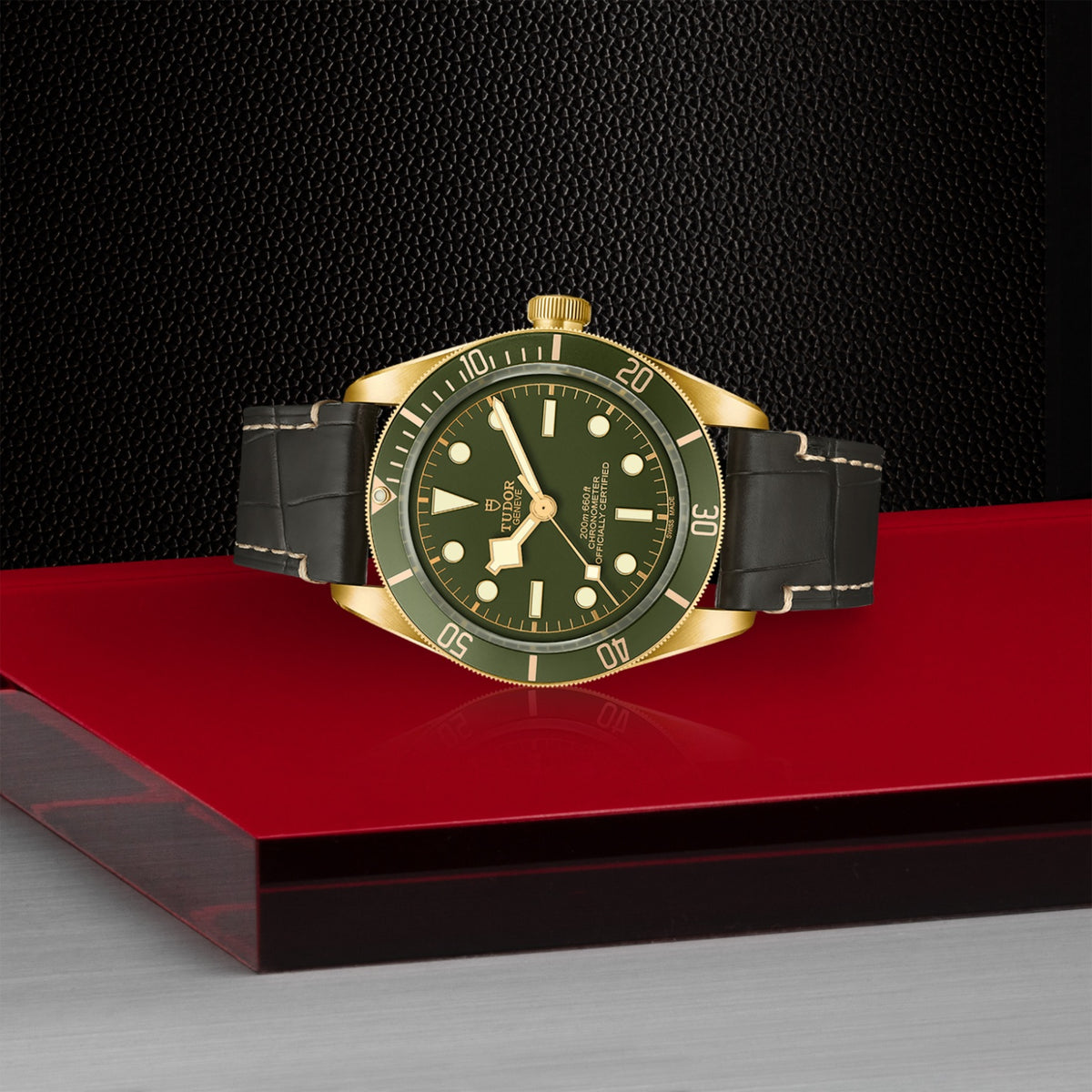 Tudor Black Bay 58 18K 39mm