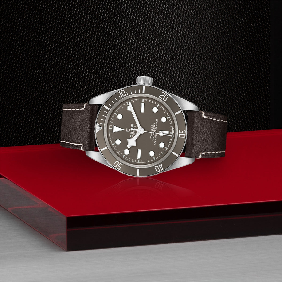 Tudor Black Bay 58 925 39mm
