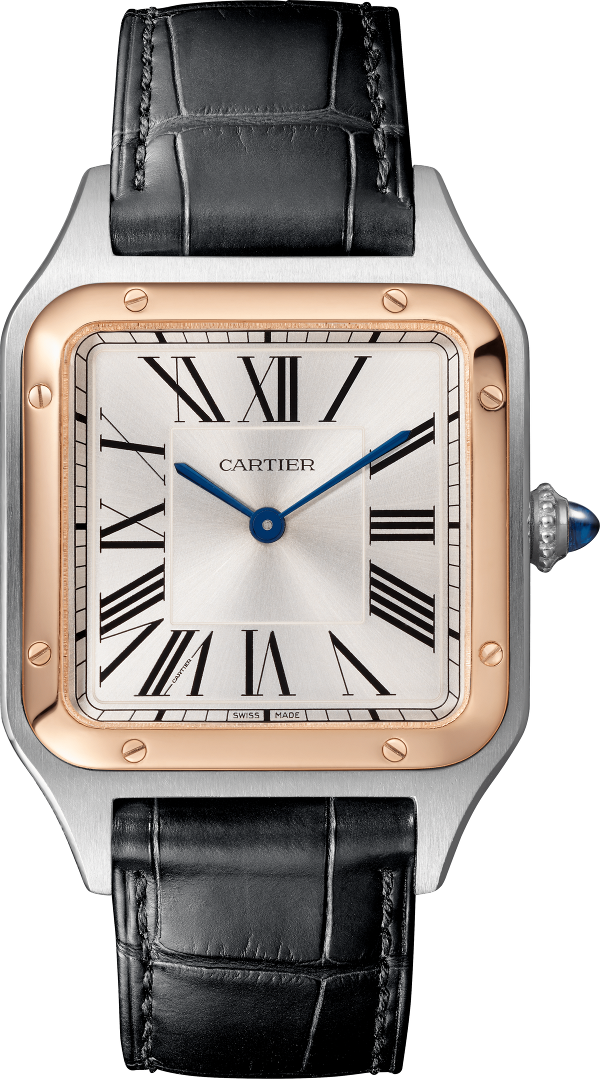 Cartier · W2SA0011