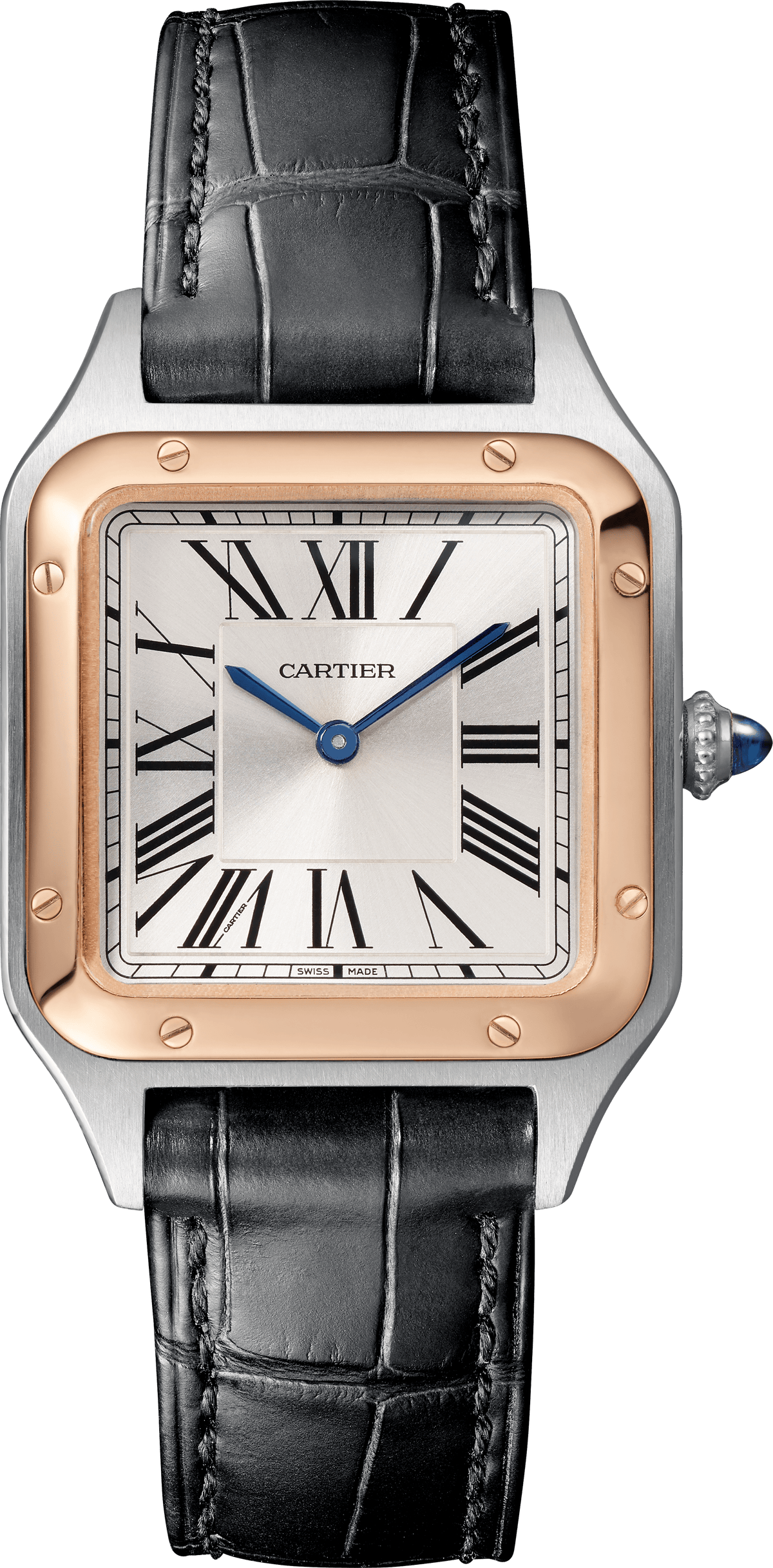 Cartier · W2SA0012