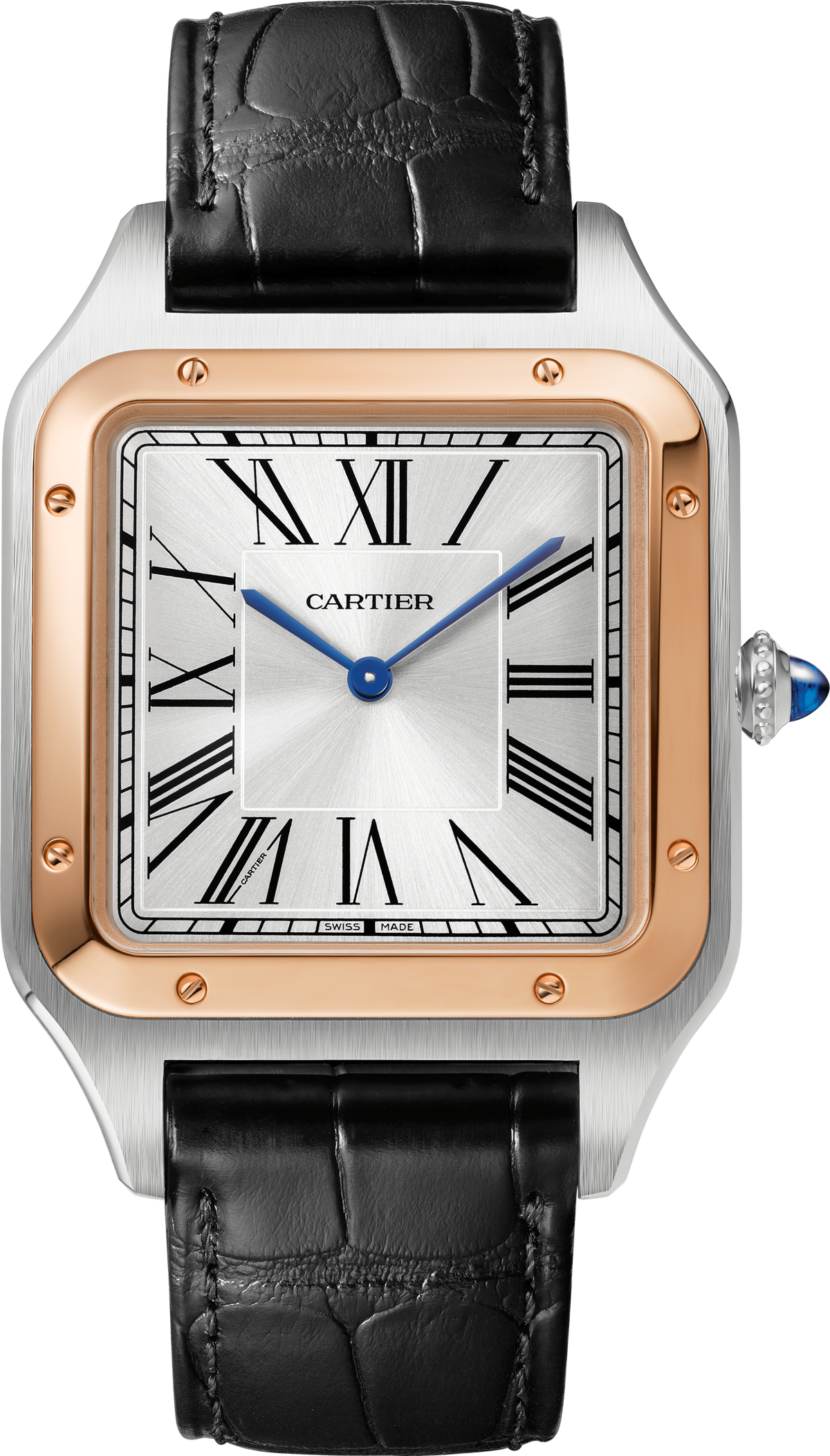 Cartier · W2SA0017