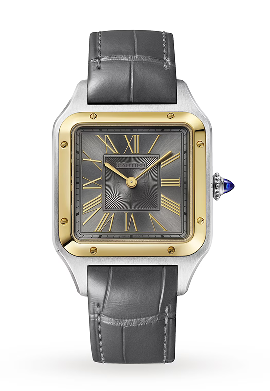 Cartier · W2SA0028