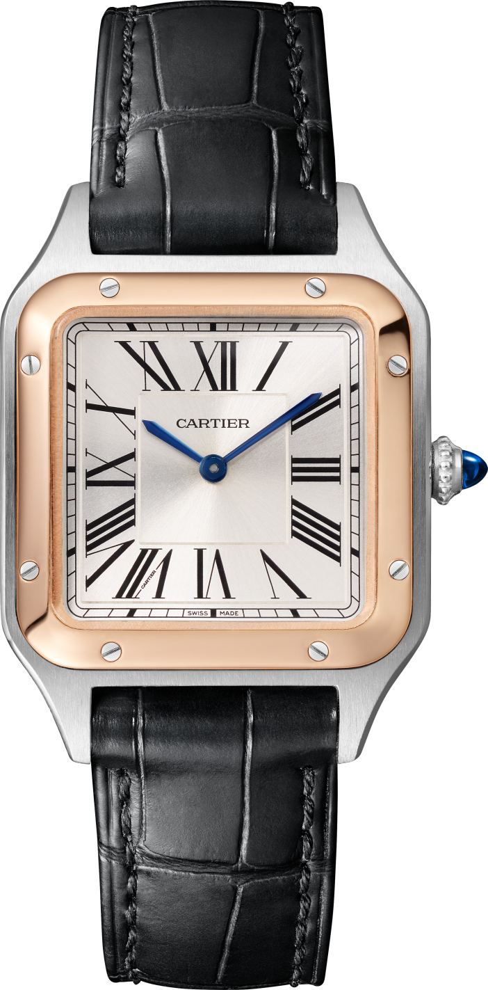 Cartier · W2SA0038