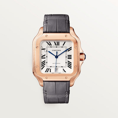 Cartier · WGSA0019