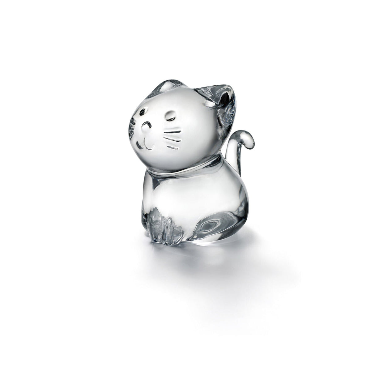Baccarat Kitten