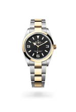 Rolex Explorer 36 M124273-0001