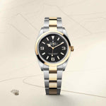 Rolex Explorer 36 M124273-0001