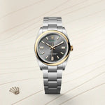 Oyster Perpetual 36 M126003-0001