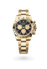 Cosmograph Daytona M126508-0002