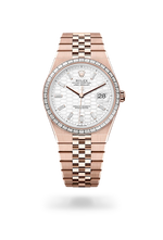 Land-Dweller 40 M127385TBR-0003
