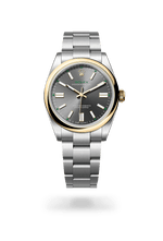 Rolex Oyster Perpetual 41 M134303-0001