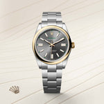 Rolex Oyster Perpetual 41 M134303-0001