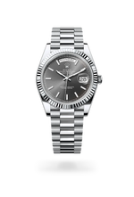 Day-Date 40 M228236-0013