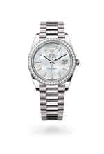 Day-Date 40 M228349RBR-0046