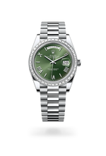 Day-Date 40 M228396TBR-0020